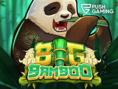 Bwin casino review39